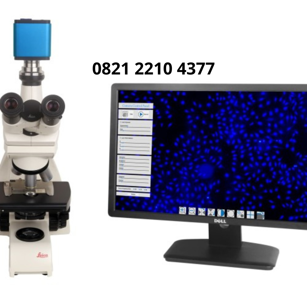 mikroskop trinokuler kamera