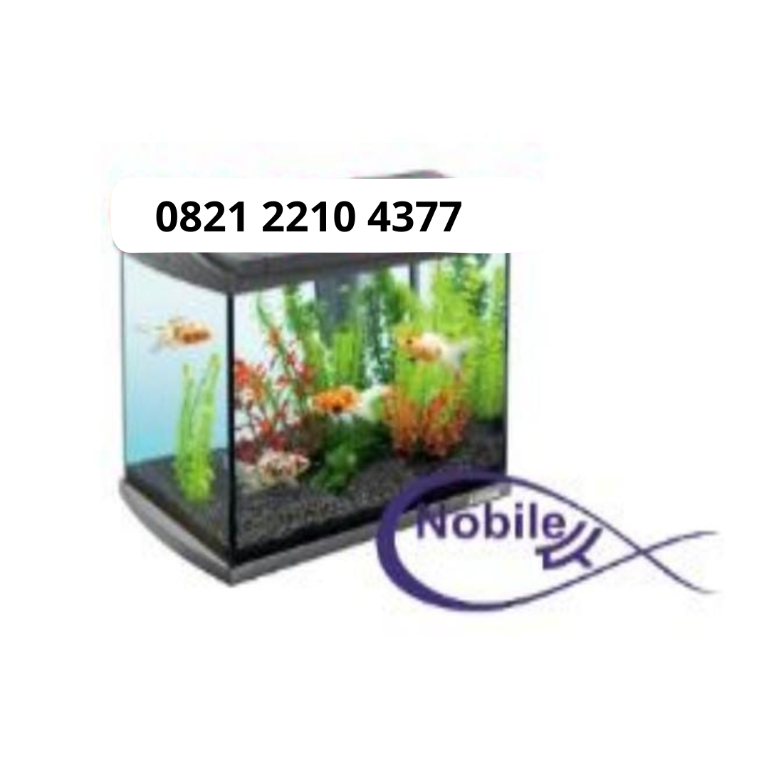 Aquarium untuk menetaskan telur ikan