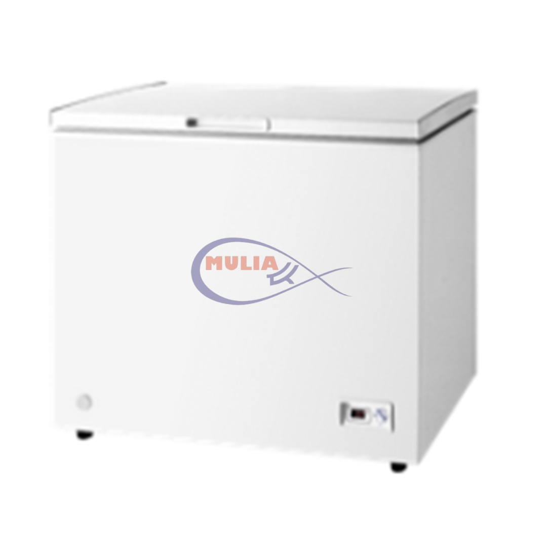 Chest Freezer