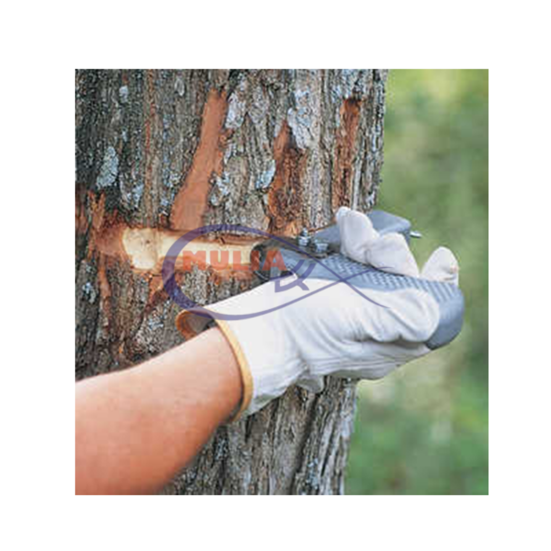 Pengiris Kulit Kayu dan Kambium