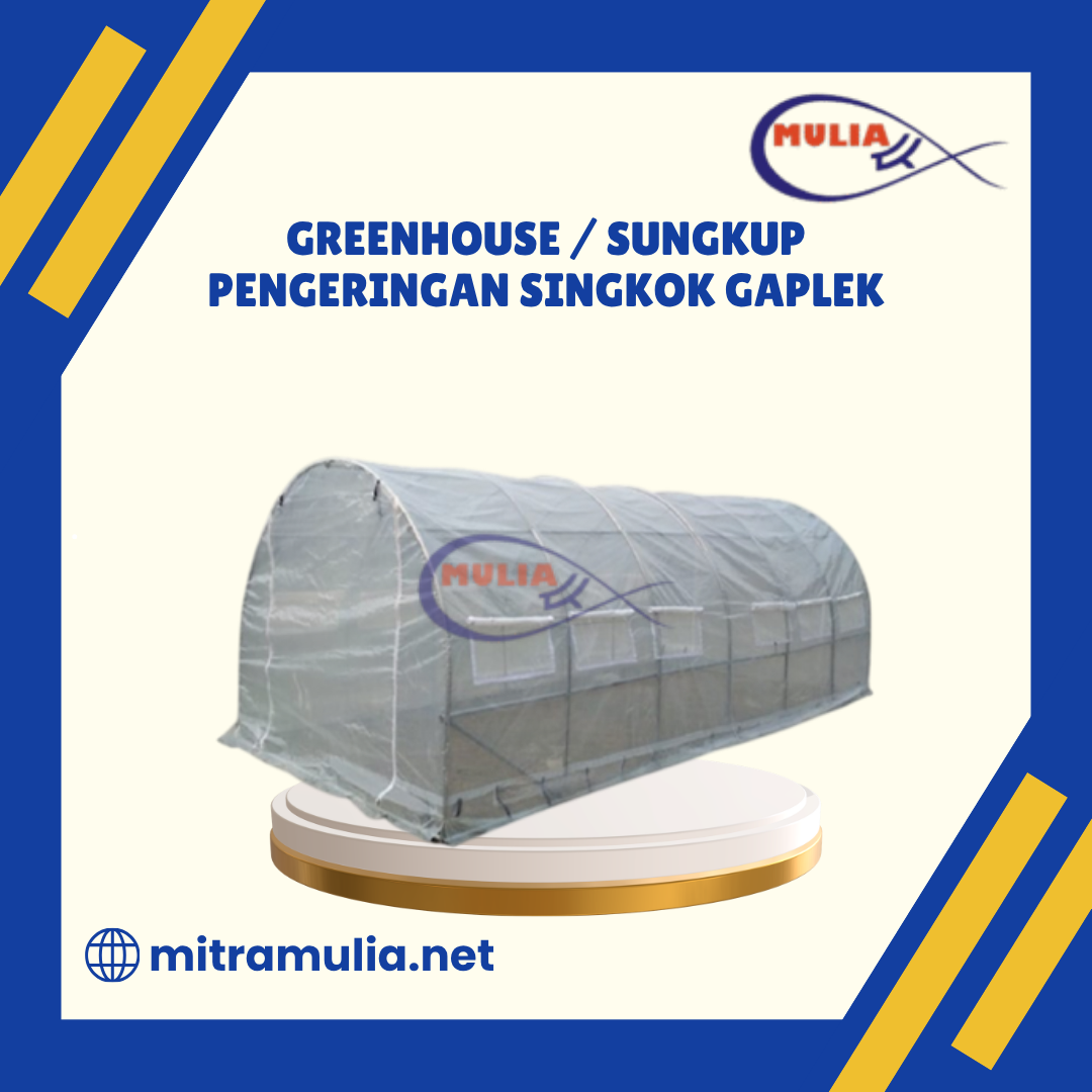 Greenhouse _ Sungkup Pengeringan Singkong Gaplek